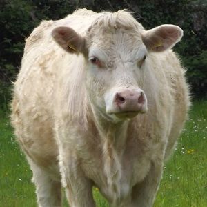 Meet your Posher, Danny